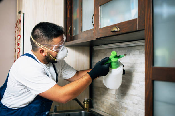 Best Pest Control Near Me  in Golden Meadow, LA