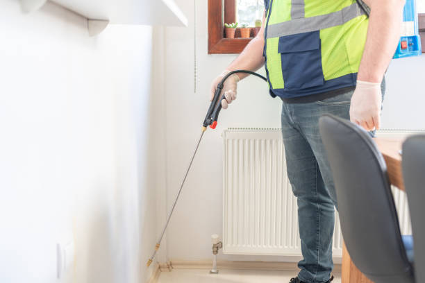 Best Local Pest Control Services  in Golden Meadow, LA
