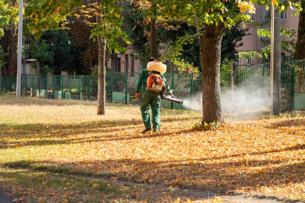 Best Termite Control Services  in Golden Meadow, LA